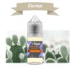 E-liquide au goût Cactus . Petit ou grand format en vente à i-liquo cigarettes électroniques Bordeaux gironde.